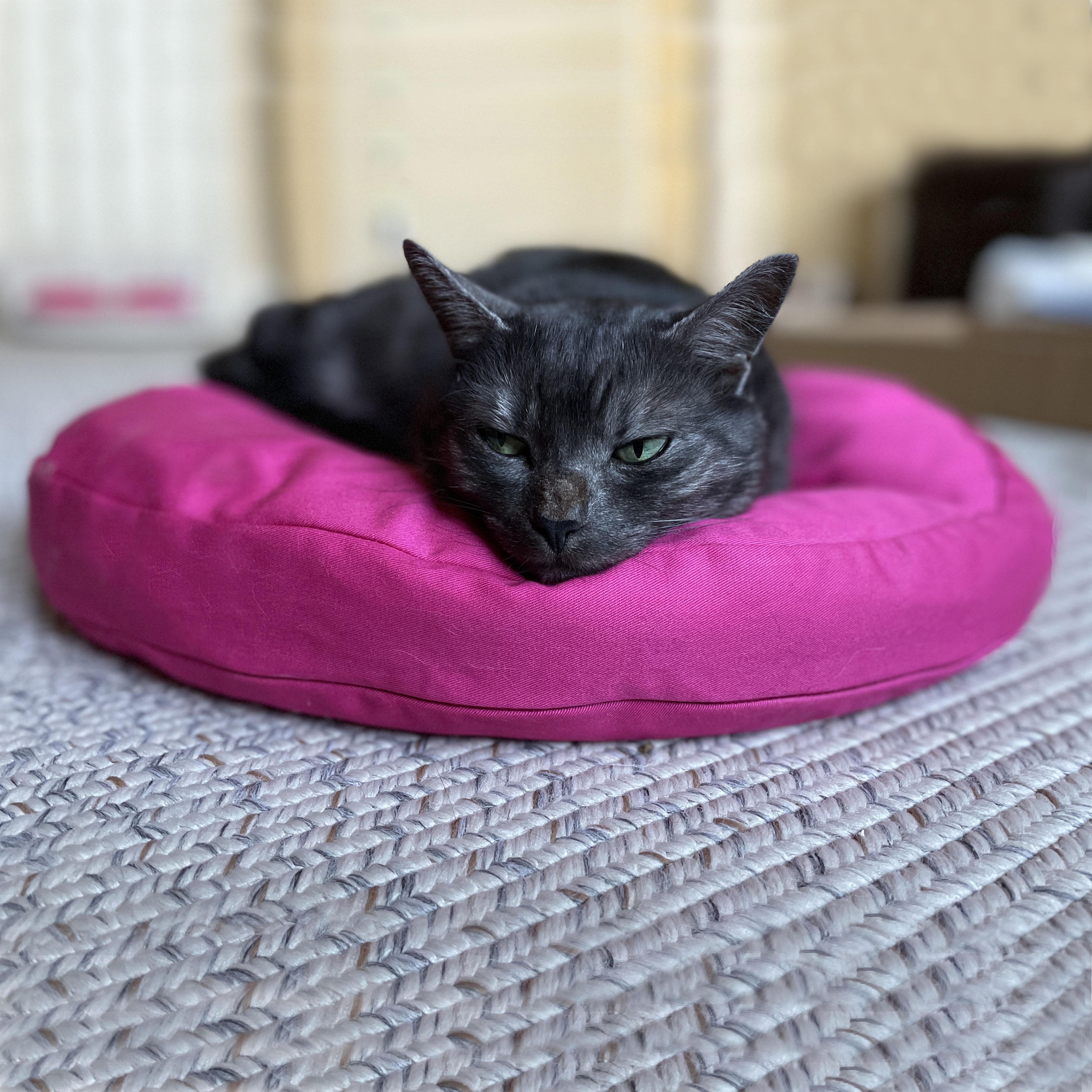 Fluffy Cat Bed Pillow