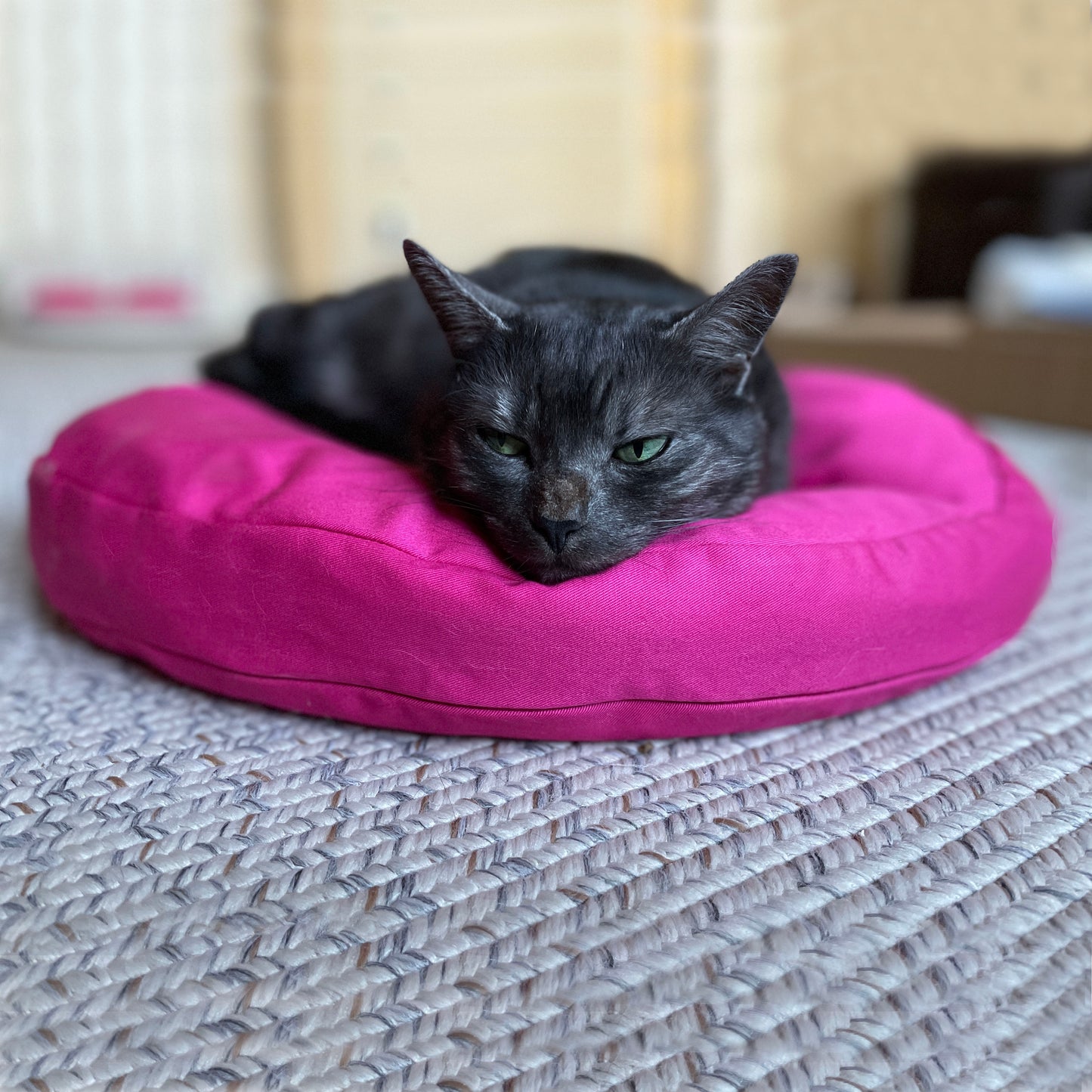 Fluffy Cat Bed Pillow