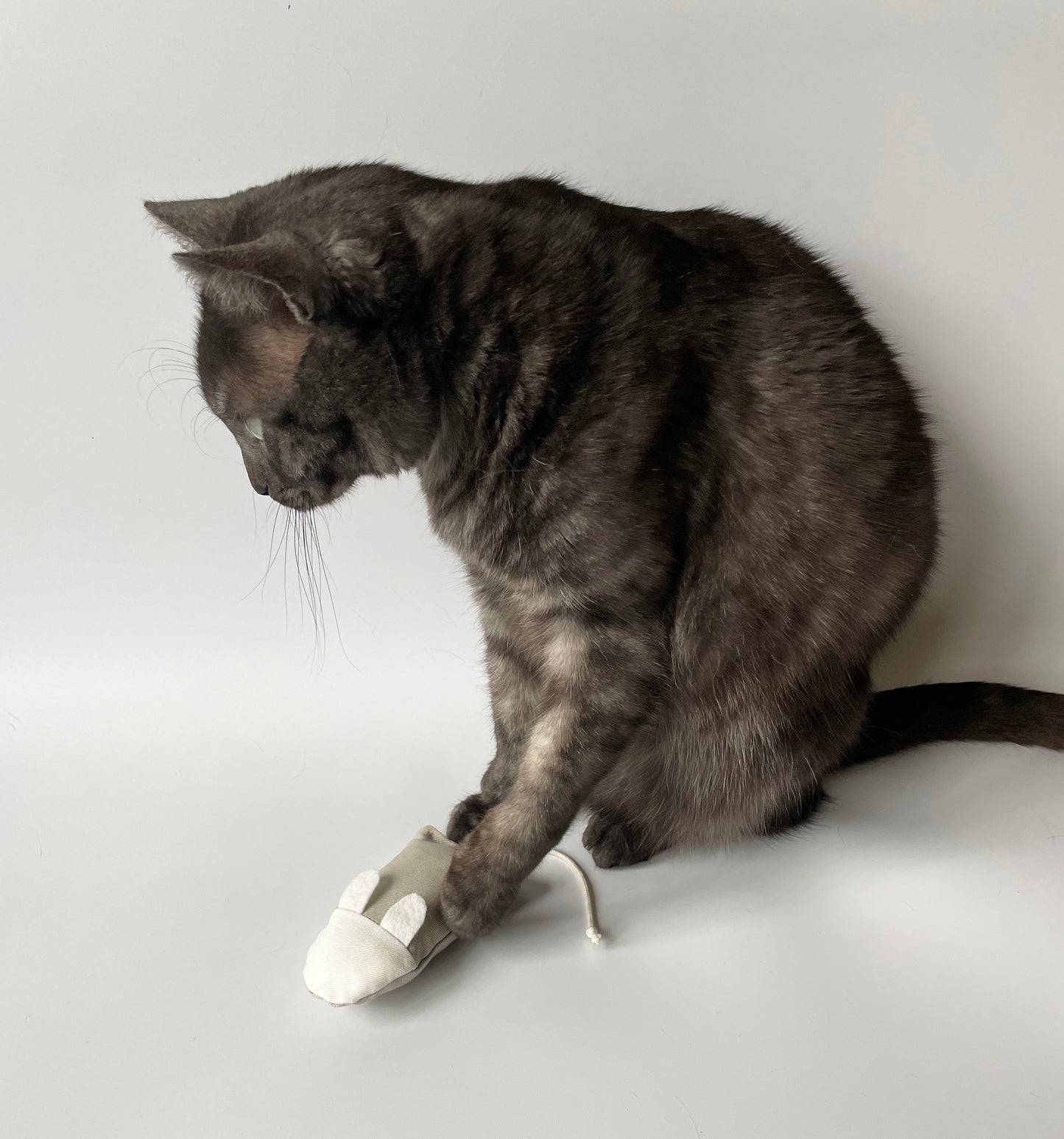 CatPlayingWithMouseCatToy
