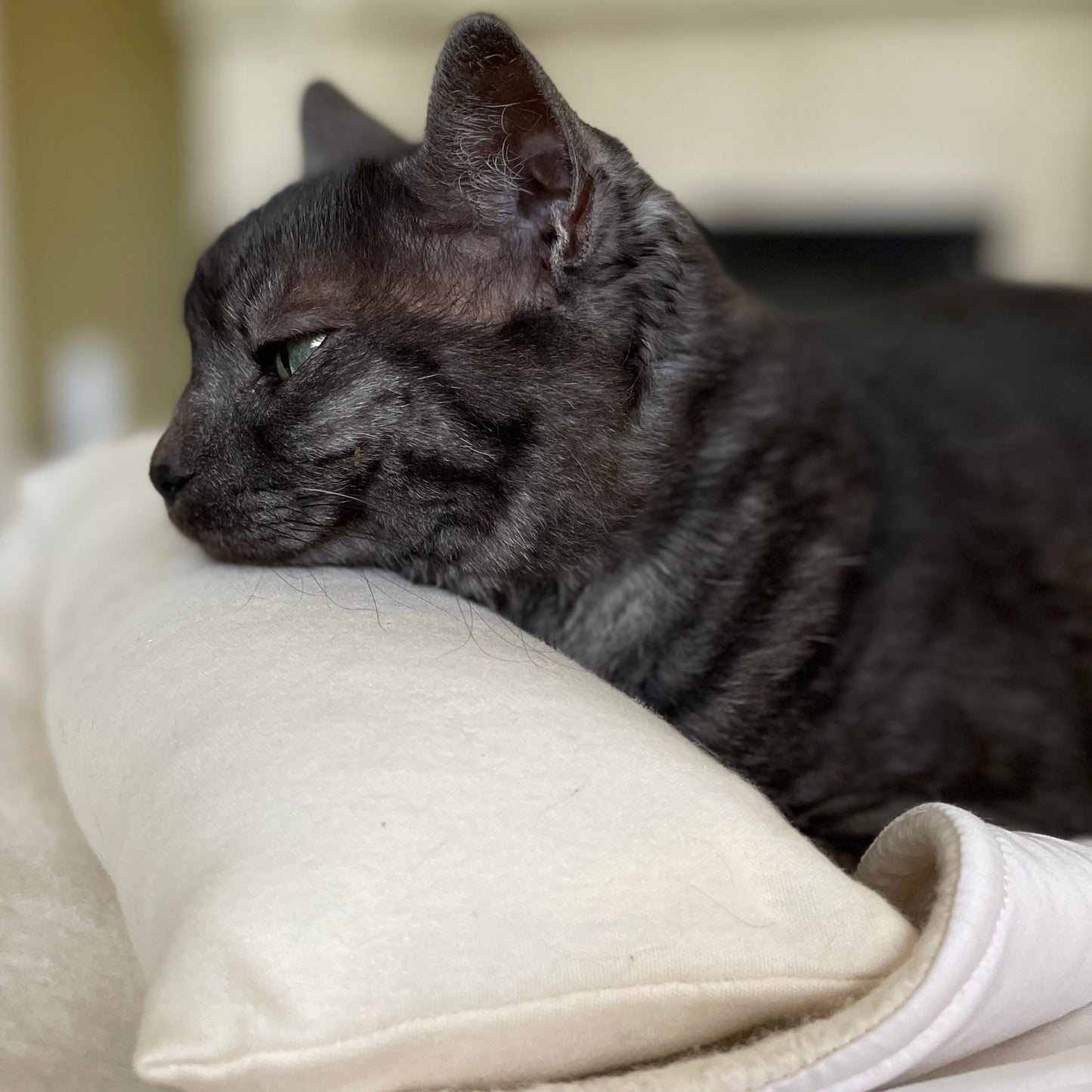 Orthopedic Cat Neck Pillow