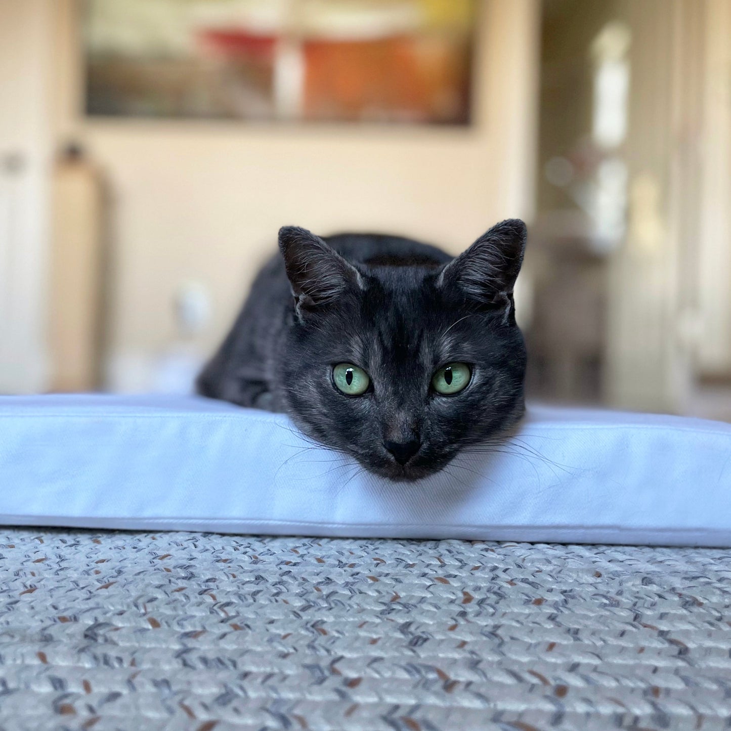 Orthopedic Cat Mattress